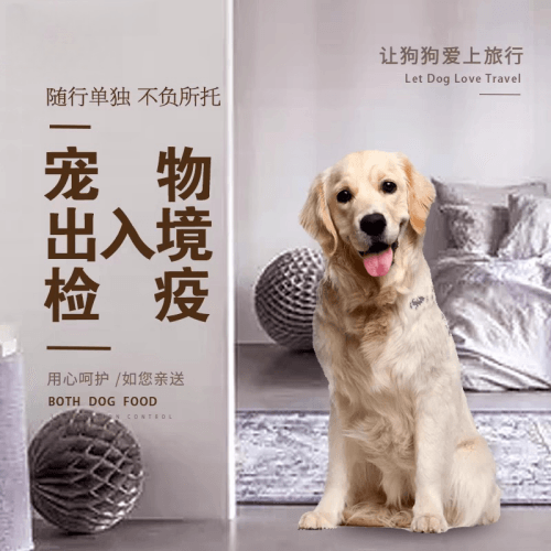 湖南省宠物托运到哥伦比亚猫狗宠物入境规定和