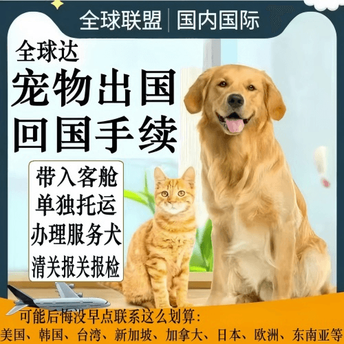 湖南省宠物托运到柬埔寨宠物入境规定和要求