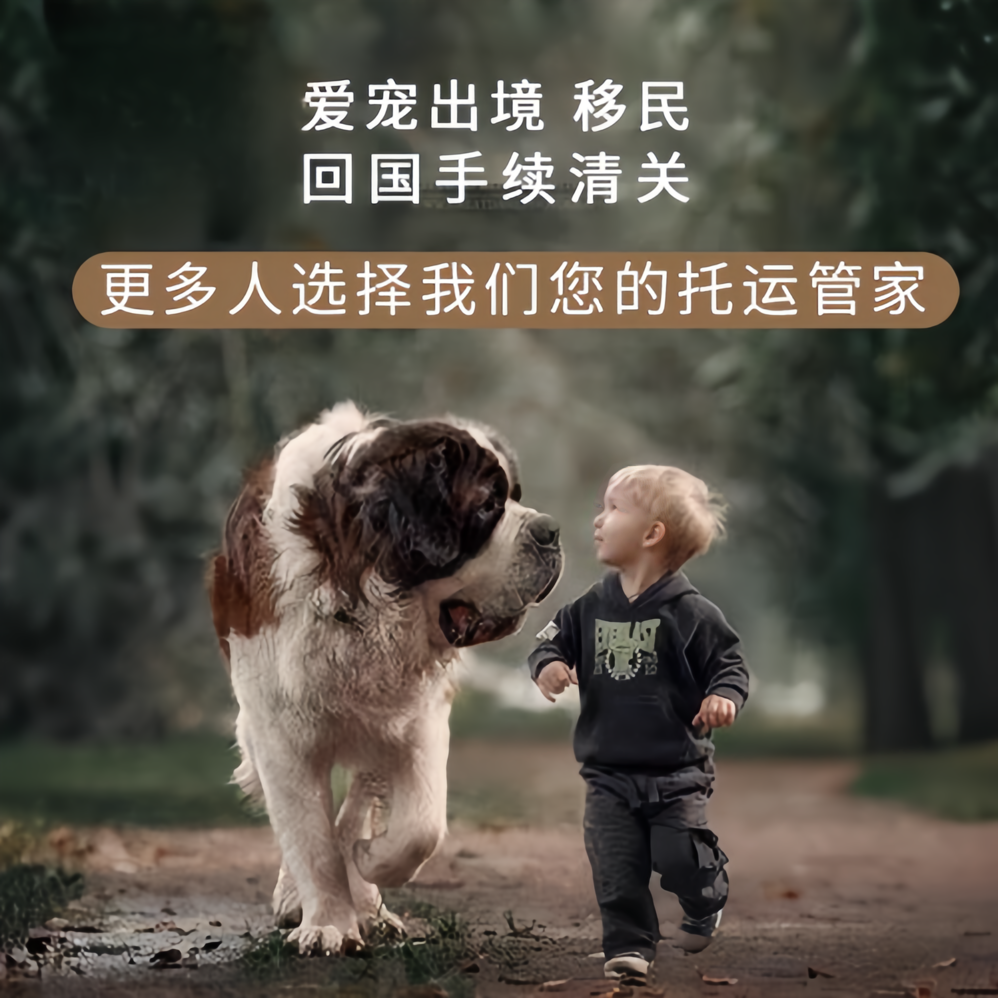 满财湖南省宠物全球达宠物托运在遵守入境目的地政策的条件
