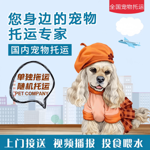 满财湖南省宠物全球达宠物托运作为专业的宠物运输代理机构